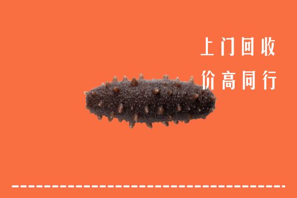 鹿泉区高价回收海参